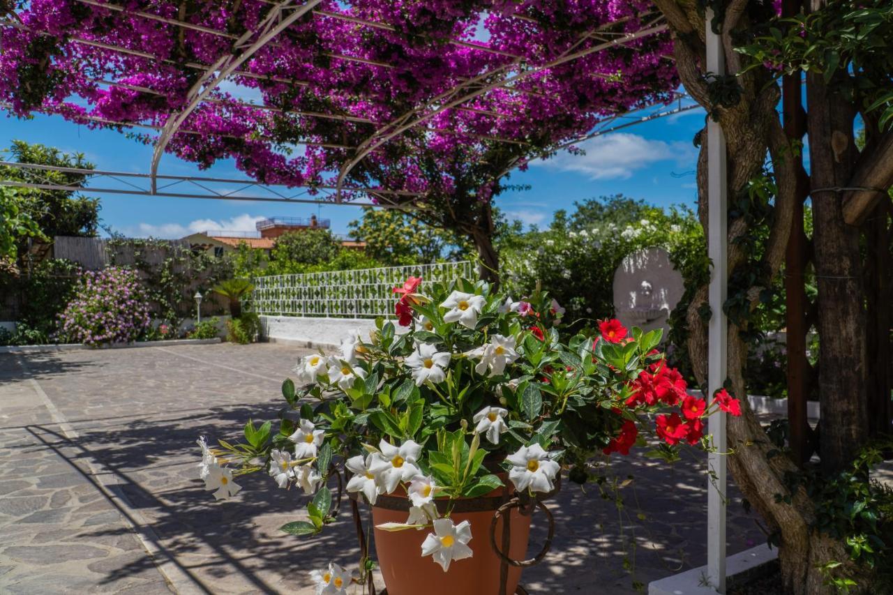 Villa Iolanda Piano di Sorrento Zewnętrze zdjęcie